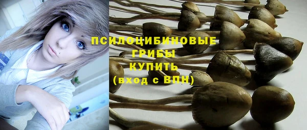 каннабис Горно-Алтайск