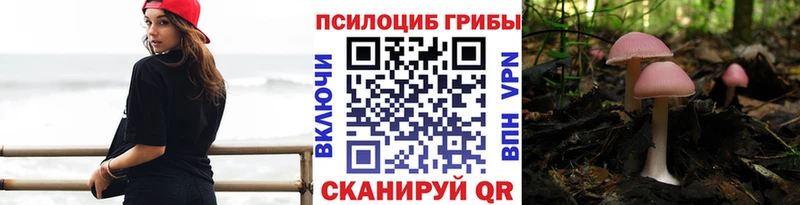 Псилоцибиновые грибы мухоморы  закладки  Ставрополь 